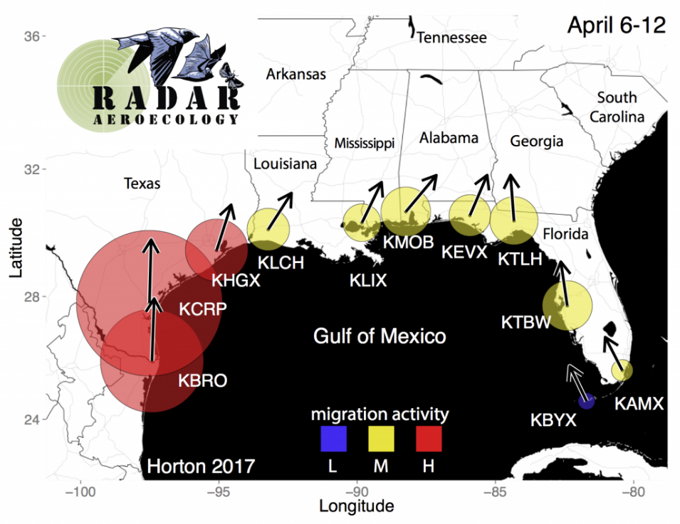 BirdCast map of intensity and direction of bird movement through airspace around the Gulf of Mexico