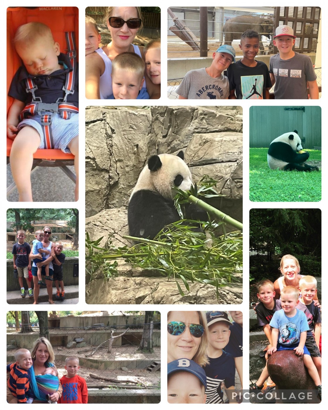 A collage of a mother, her young boys, and the pandas at the National Zoo.