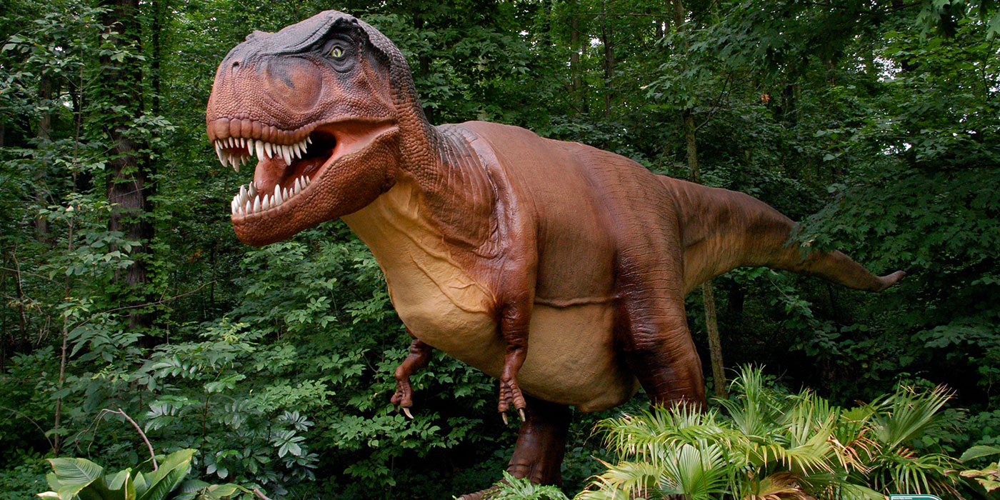 A large animatronic T-rex dinosaur standing in a forested area