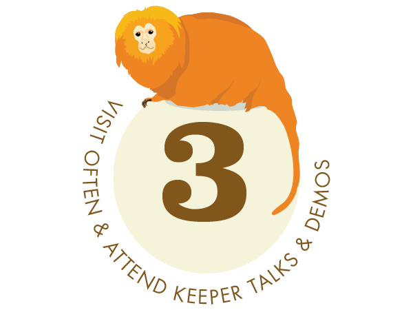 Visit often and attend keeper talks and demos