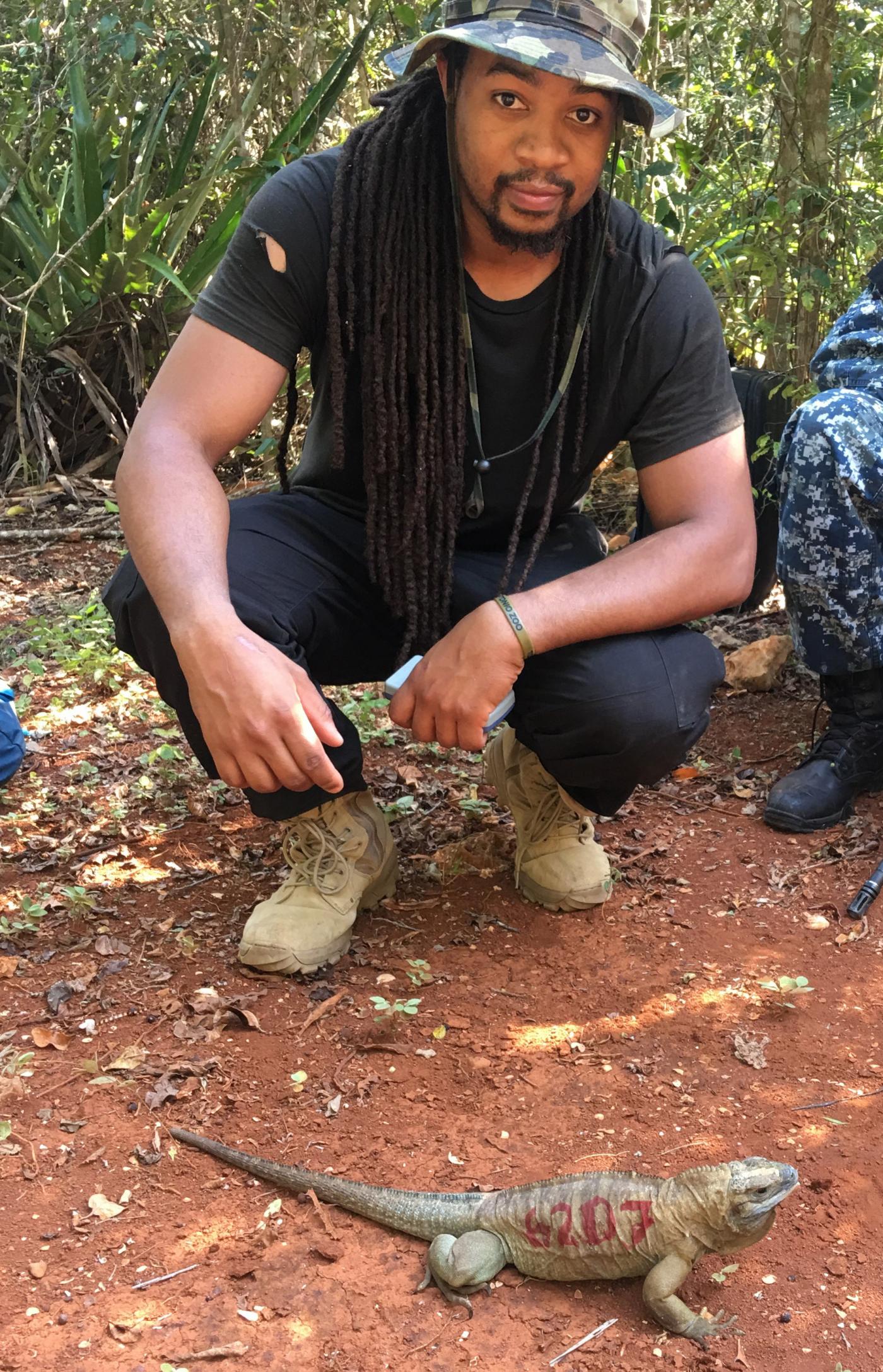 reptile discovery center keeper Kyle Miller participated in an iguana reintroduction program in Jamaica.