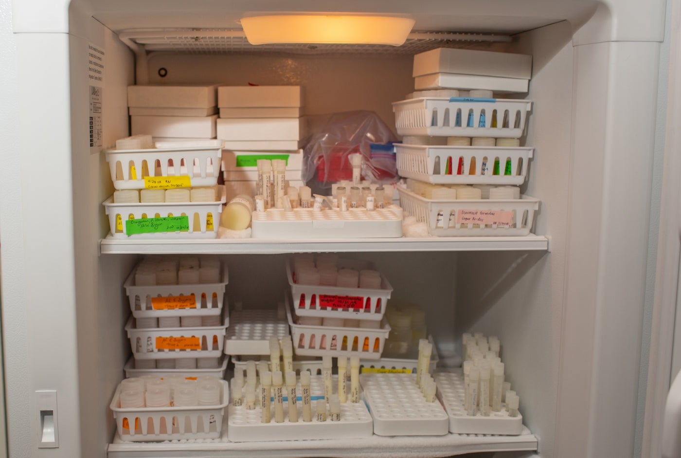A freezer stocked with samples of exotic animal milks that are stored in small tubes and placed in containers