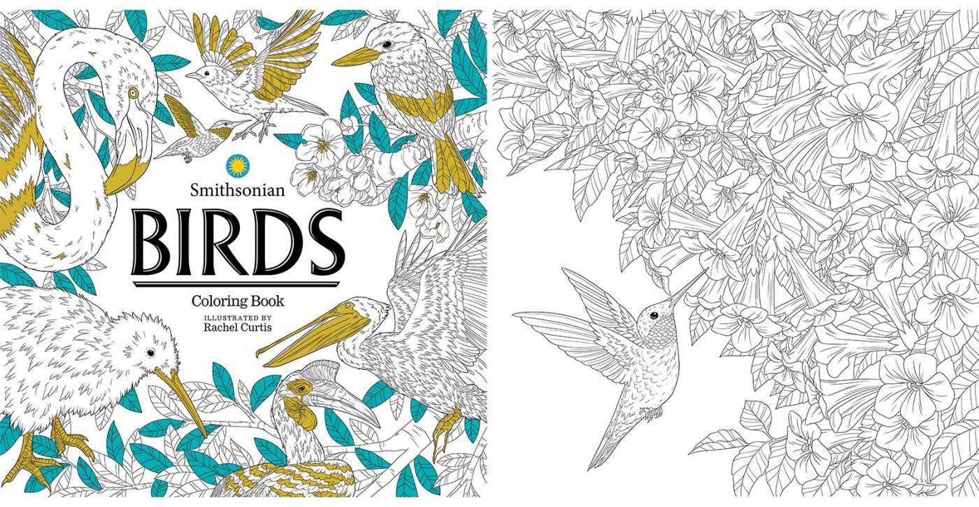 Cover and hummingbird page from BIRDS: A Smithsonian Coloring Book
