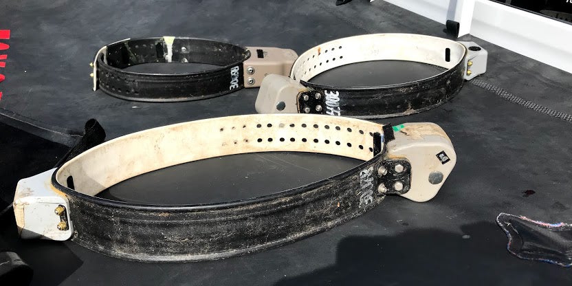 Three GPS tracking collars for tapirs set on a table