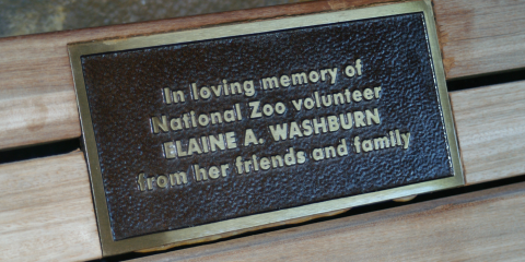 A plaque on a bench with the words "In loving memory of National Zoo volunteer Elaine A. Washburn from her friends and family."