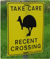take care recent crossing sign with large bird pictured on it