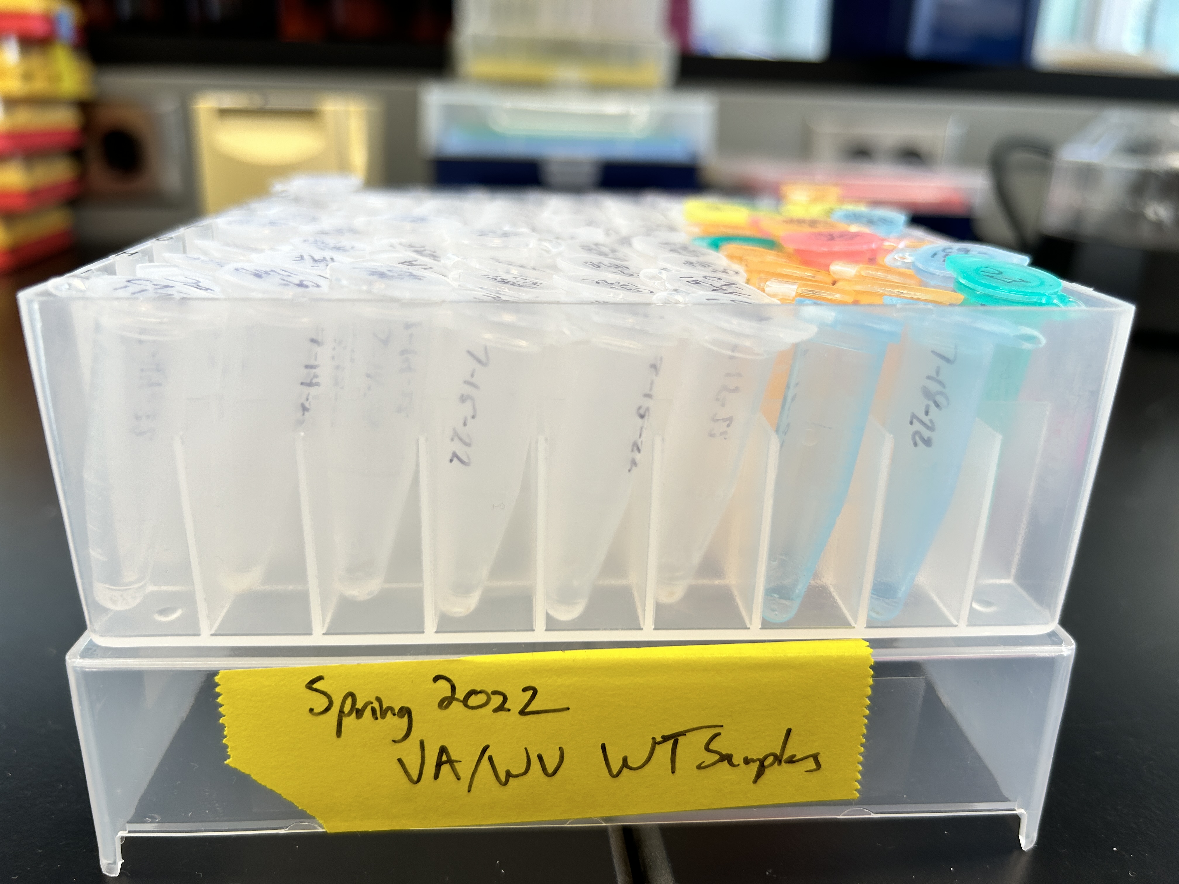 Photo of an array filled with small water samples in plastic vials. A label on the array reads, "Spring 2022. Virginia, West Virginia wood turtle samples."