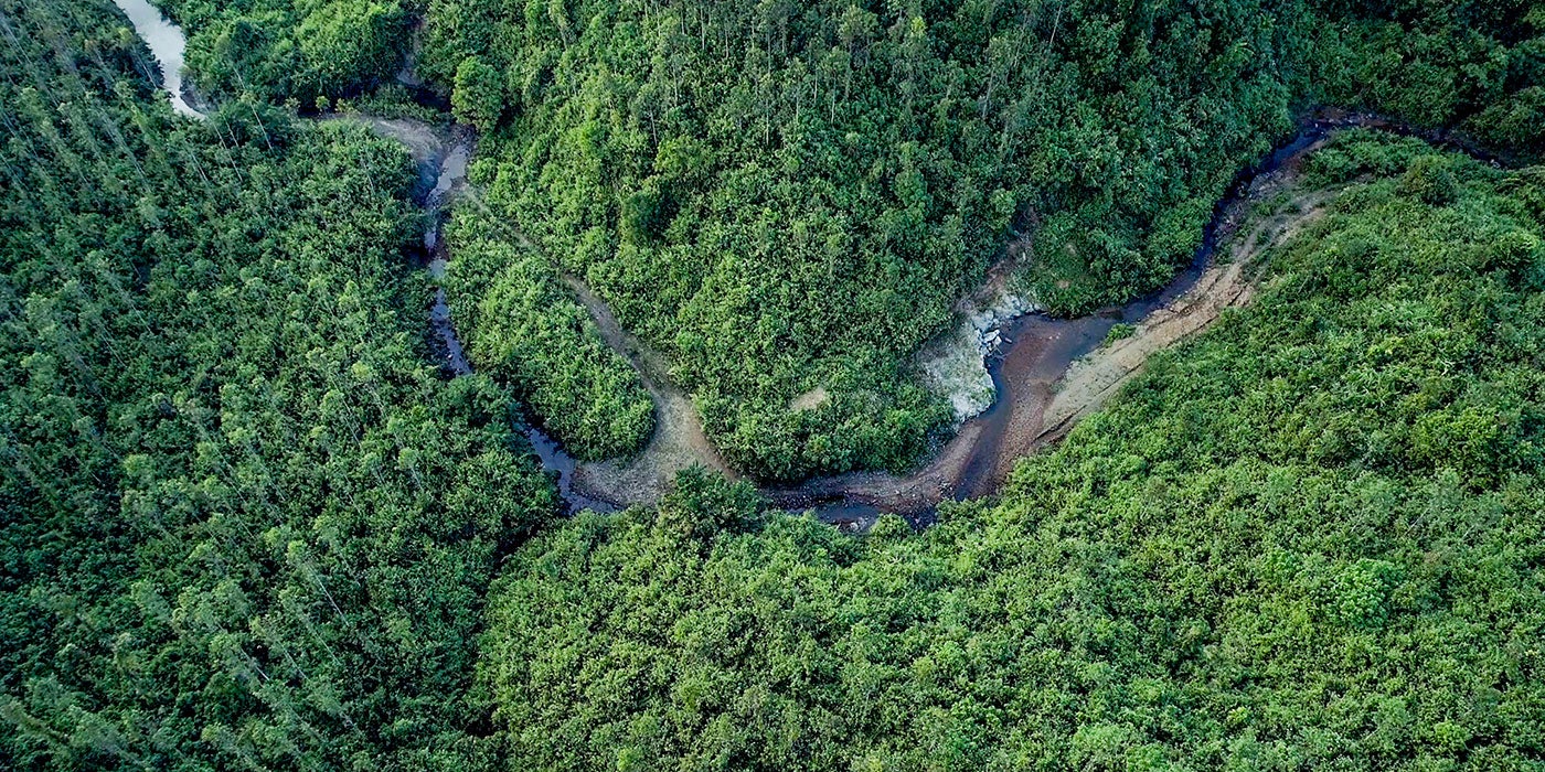 An aerial photo of a forest in Myanmar with green trees and a river running through it