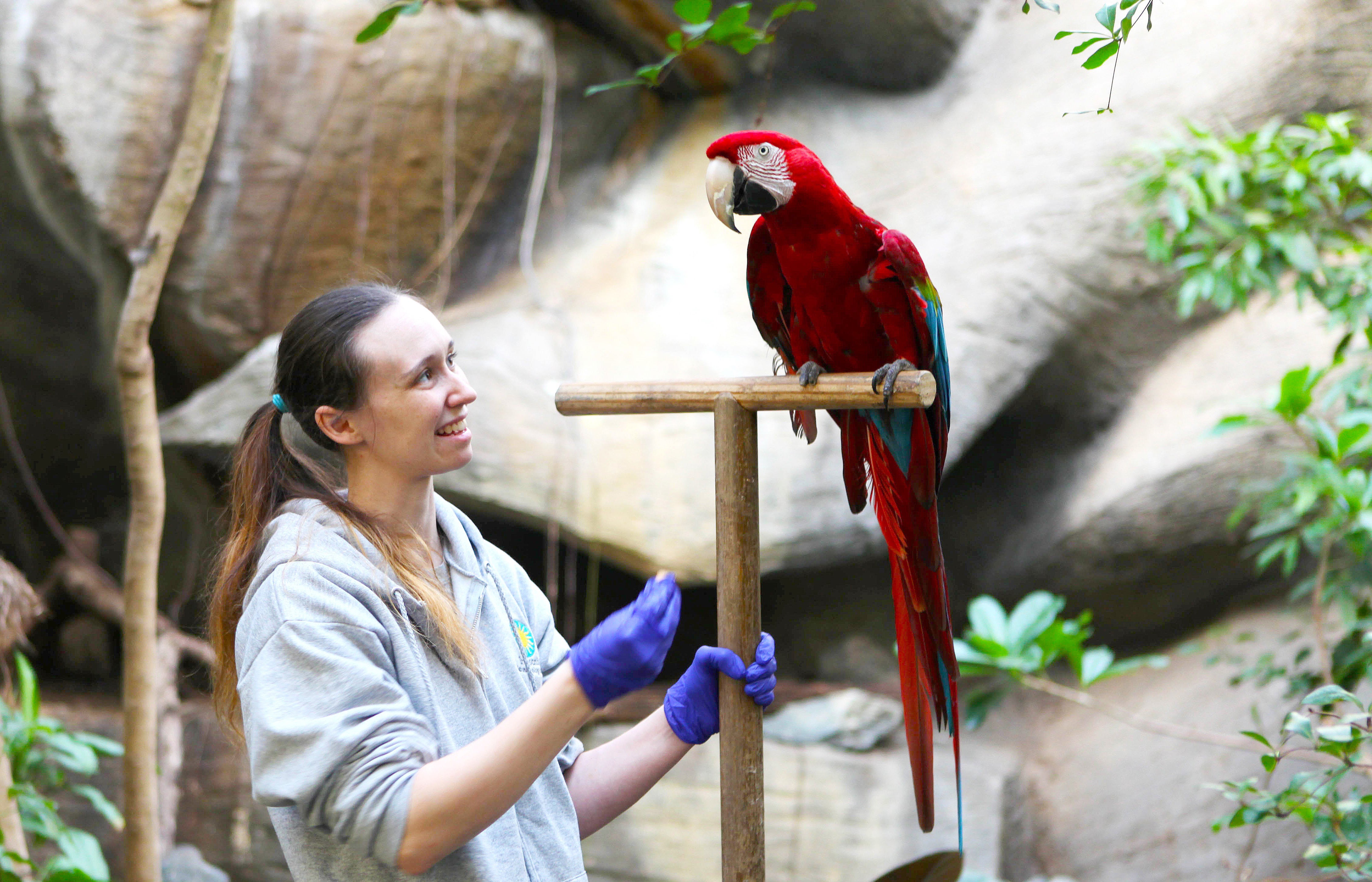 Liz Fischer with Macaw