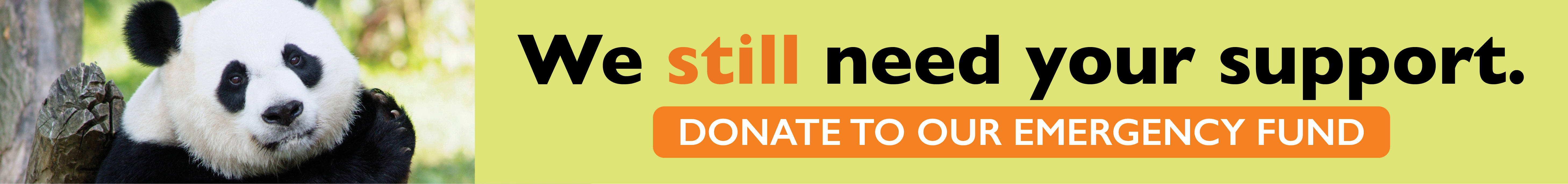 A photo of a giant panda next to the text "We still need your support. Donate to our emergency fund."