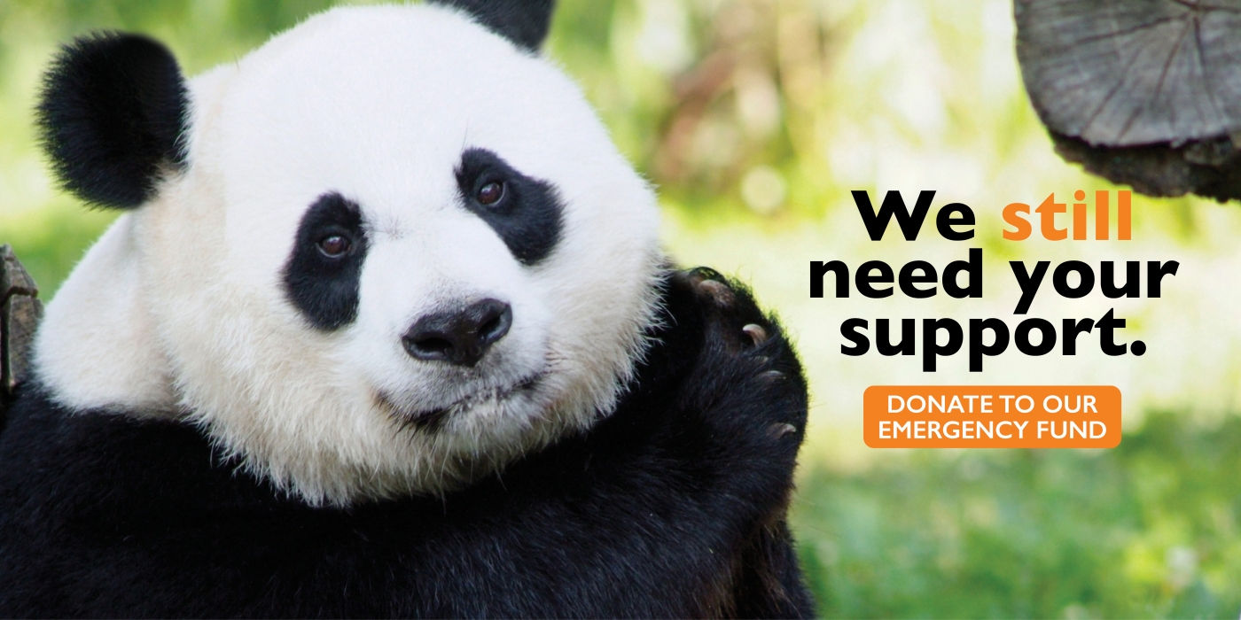 National Zoo Emergency Fund | Smithsonian's National Zoo and