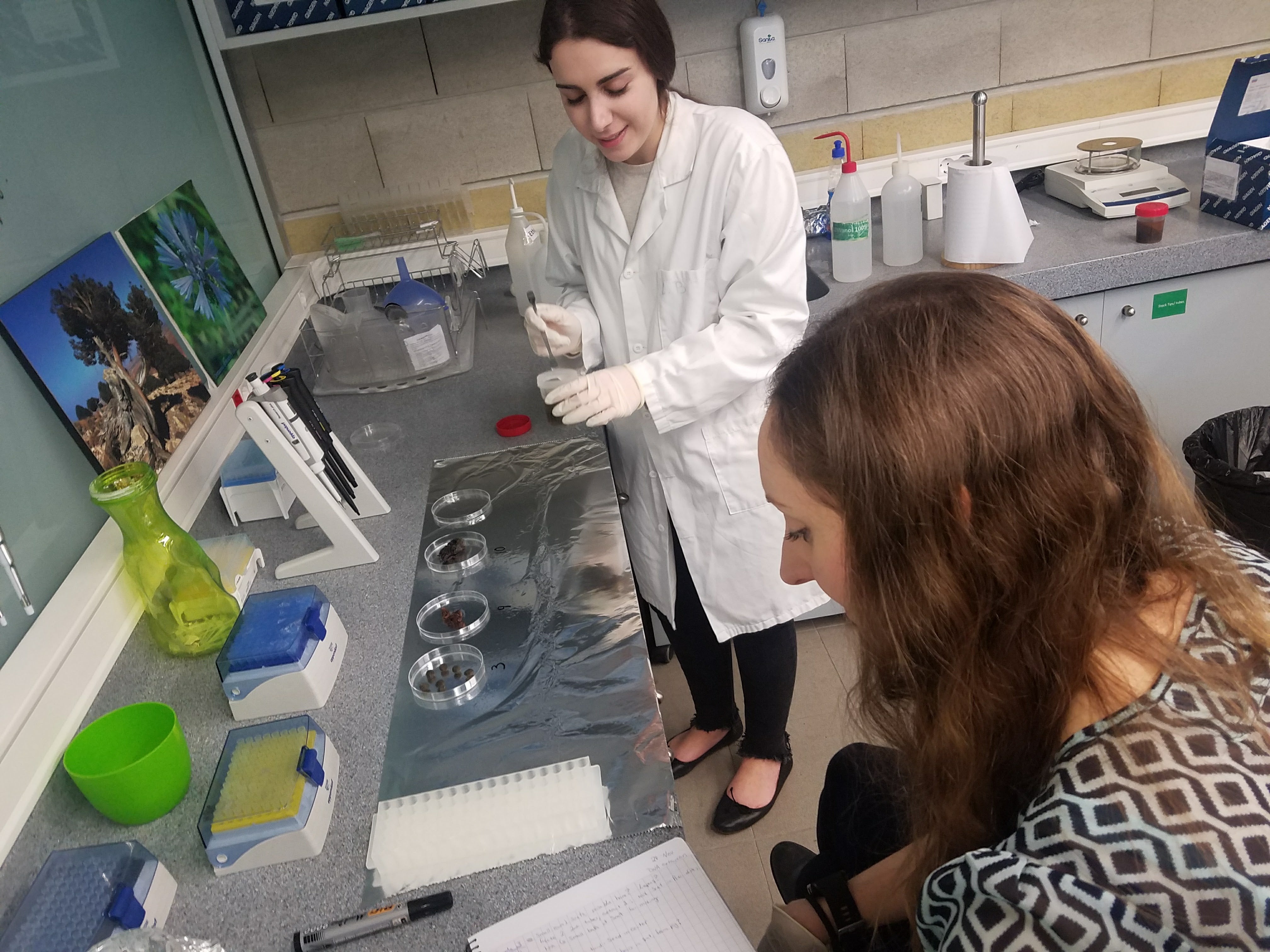 Training students at St. Joseph University in Beirut how to use DNA metabarcoding to analyze scat samples.