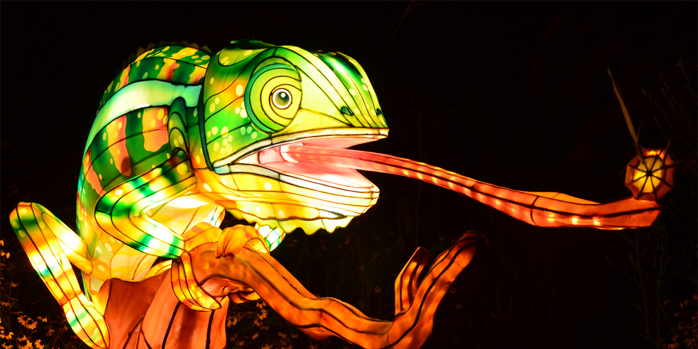 A lantern in the shape of a chameleon extending its tongue.