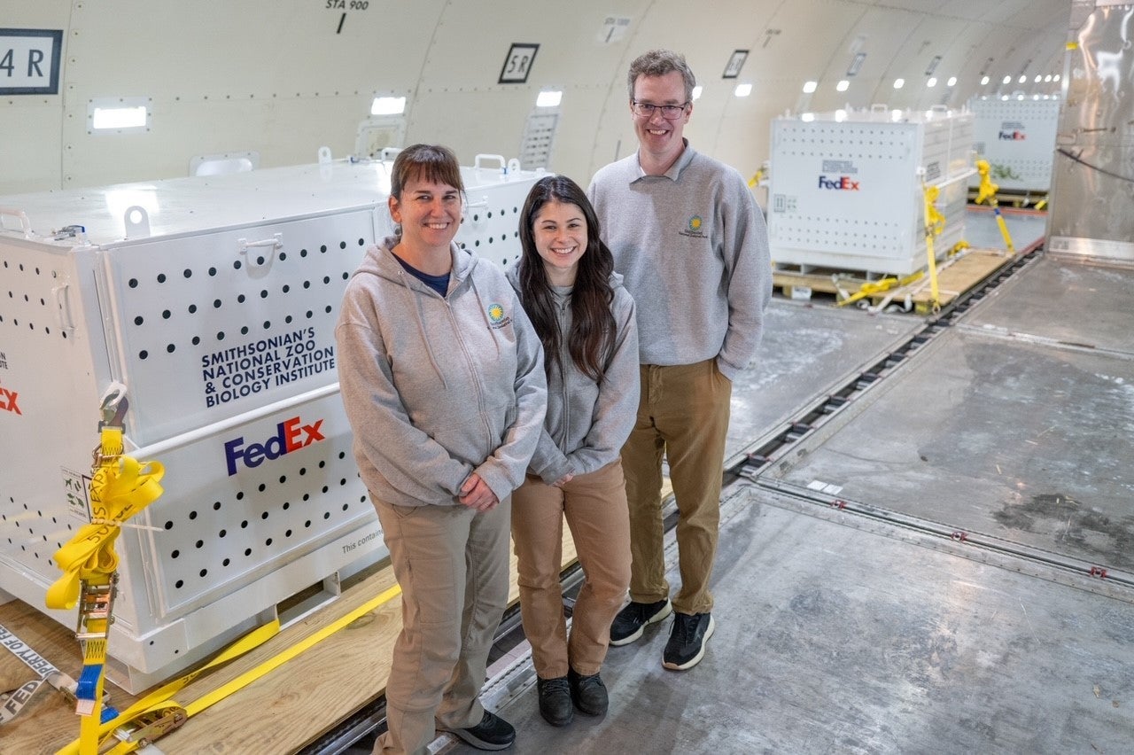 Assistant curator Laurie Thompson, keeper Mariel Lally and veterinarian James Steeil in the FedEx plane in front of giant pandas Tian Tian, Mei Xiang and Xiao Qi Ji.