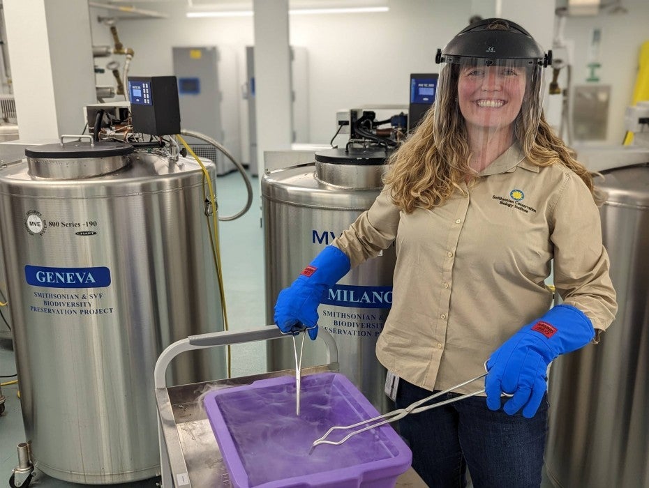 Molly works in the lab wearing gloves and a clear transparent face shield.