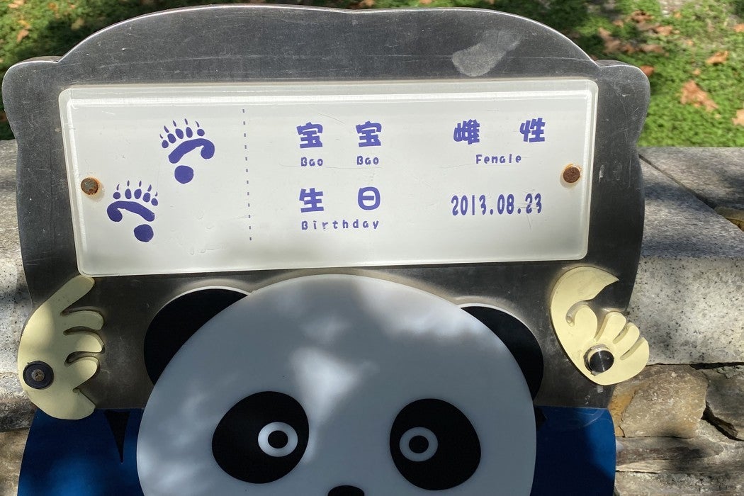 Giant panda Bao Bao's exhibit sign.