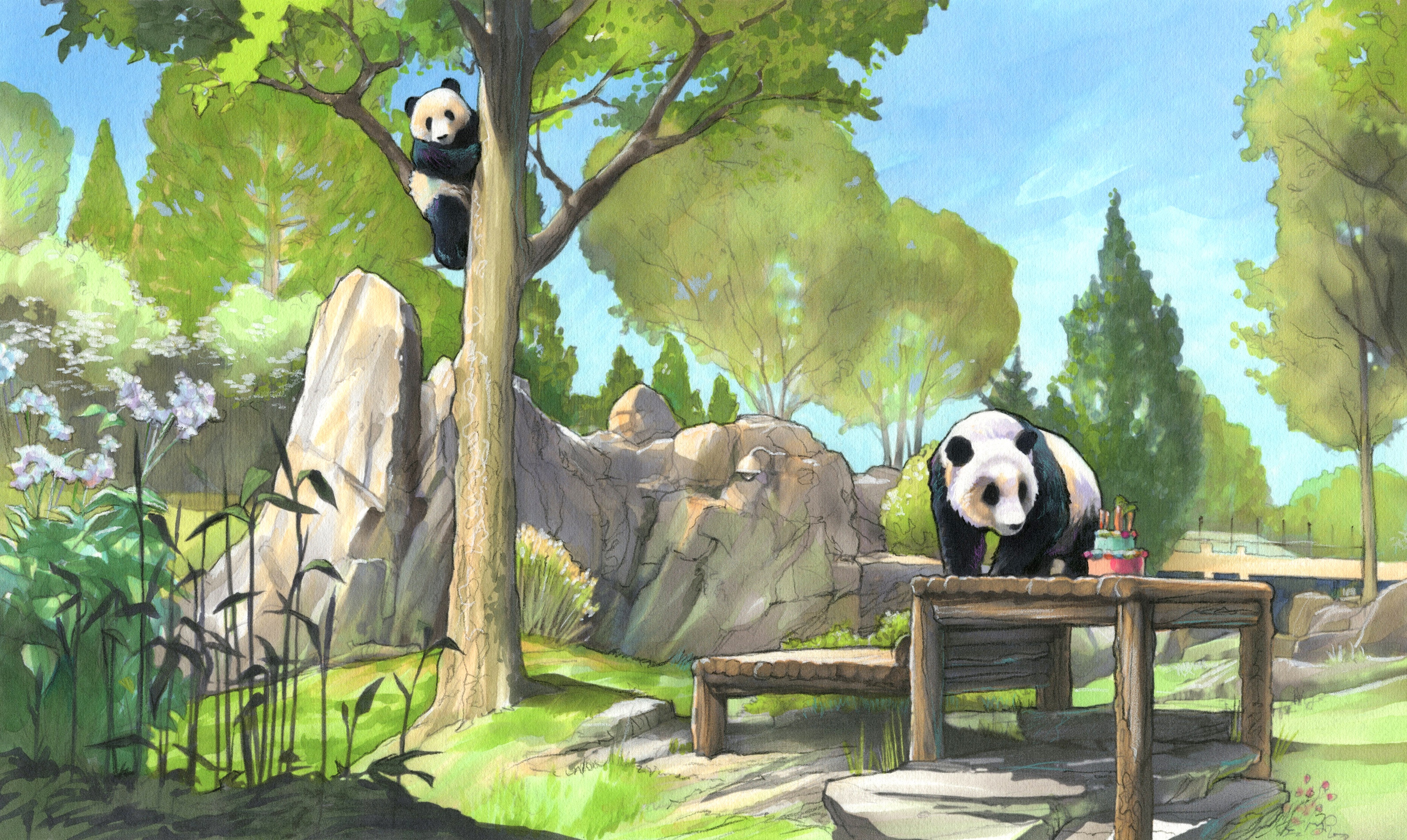 Illustration of the outdoor habitat of the Zoo's giant pandas.