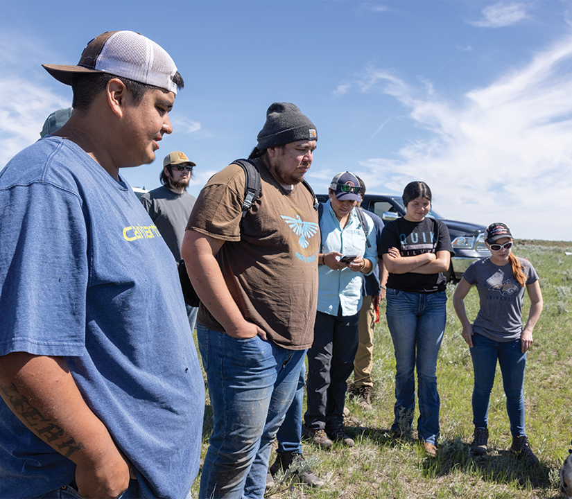 A group of tribal members in their tweens and twenties engaged in fieldwork on a grassy plain.