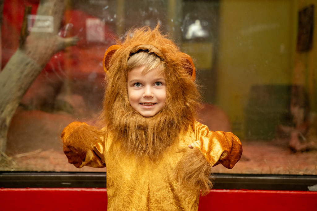 A small boy in a lion costume smiles for the camera at Boo at the Zoo.