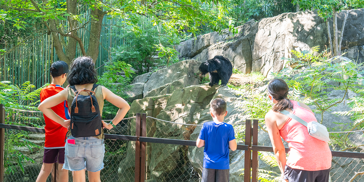 A group of zoogoers watches a sloth bear at the Asia Trail exhibit.