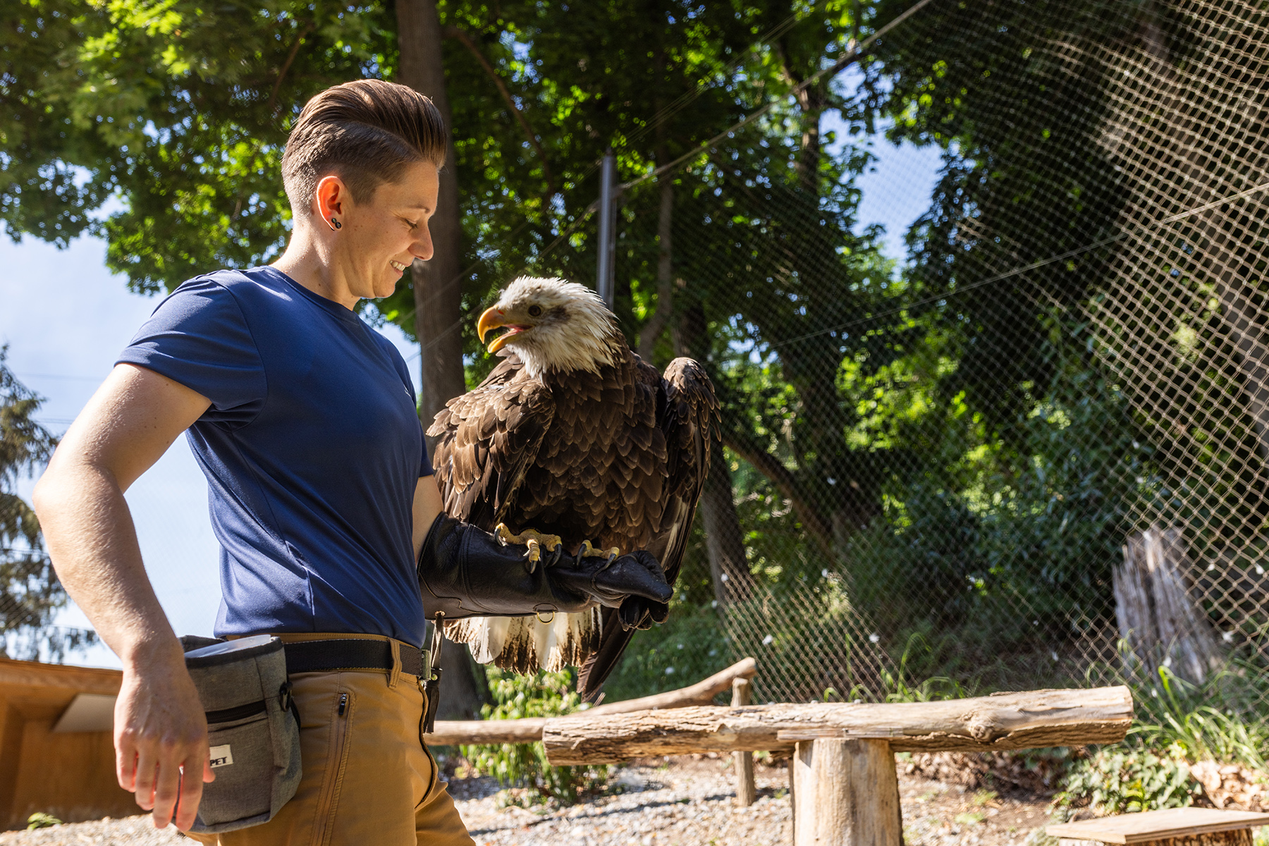 Animal keeper Sam Milne smiles at the Zoo's bald eagle, Acadia, who is looking back at Sam. They stand in the bald eagle habitat together, with Acadia perched atop Sam's glove.