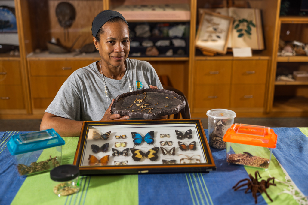 A middle aged woman in a gray keeper uniform t-shirt poses in a library setting with displays of live and preserved insects laid out on a colorful blue and green tablecloth. 