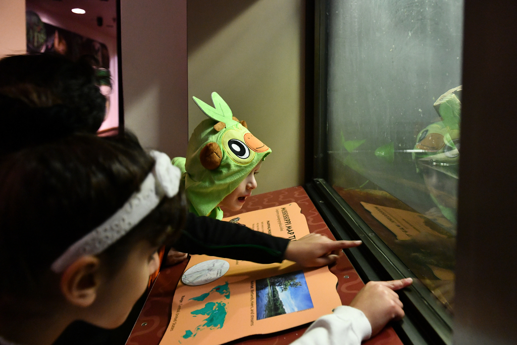 A child in a Halloween costume points at a reptile inside its habitat area.