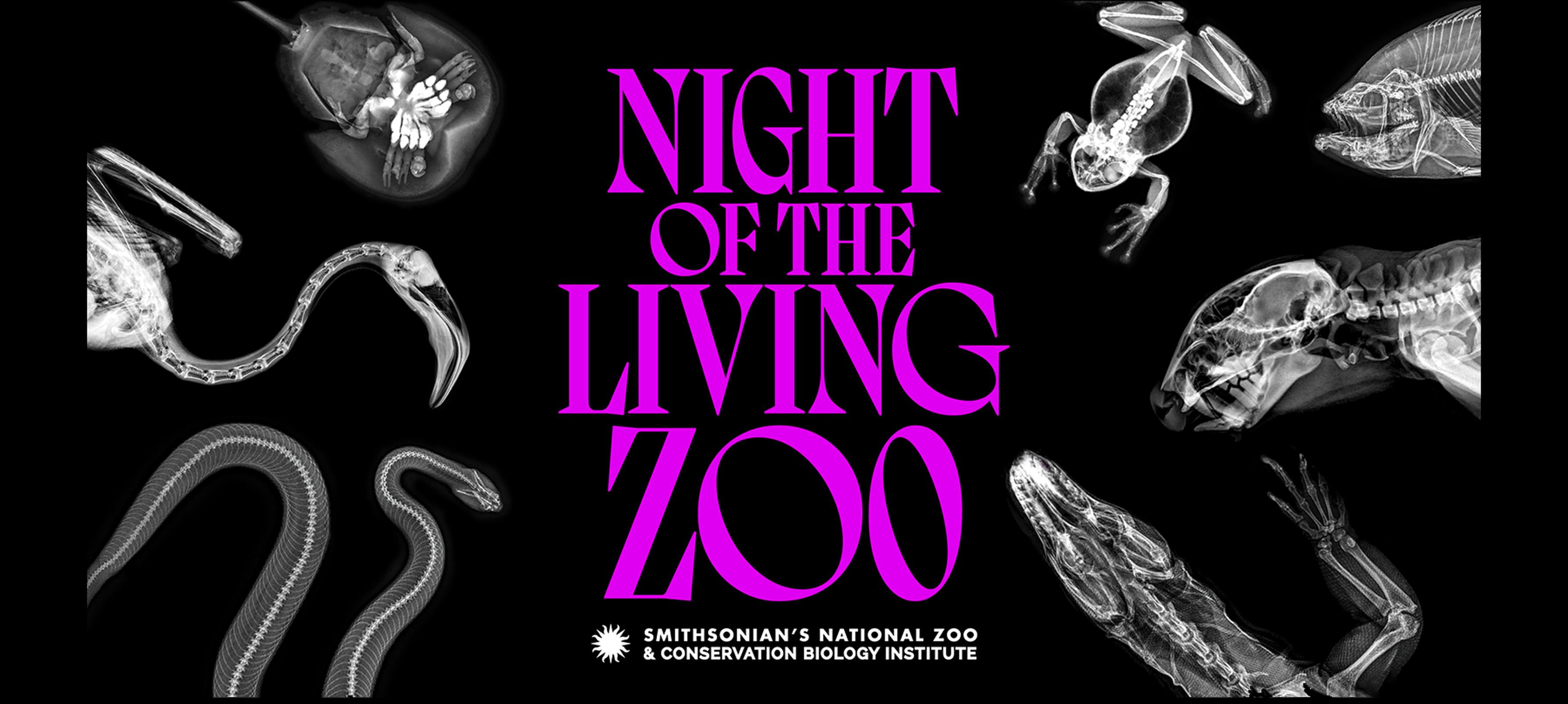 A Banner image with the Night of the Living Zoo logo and animal xrays