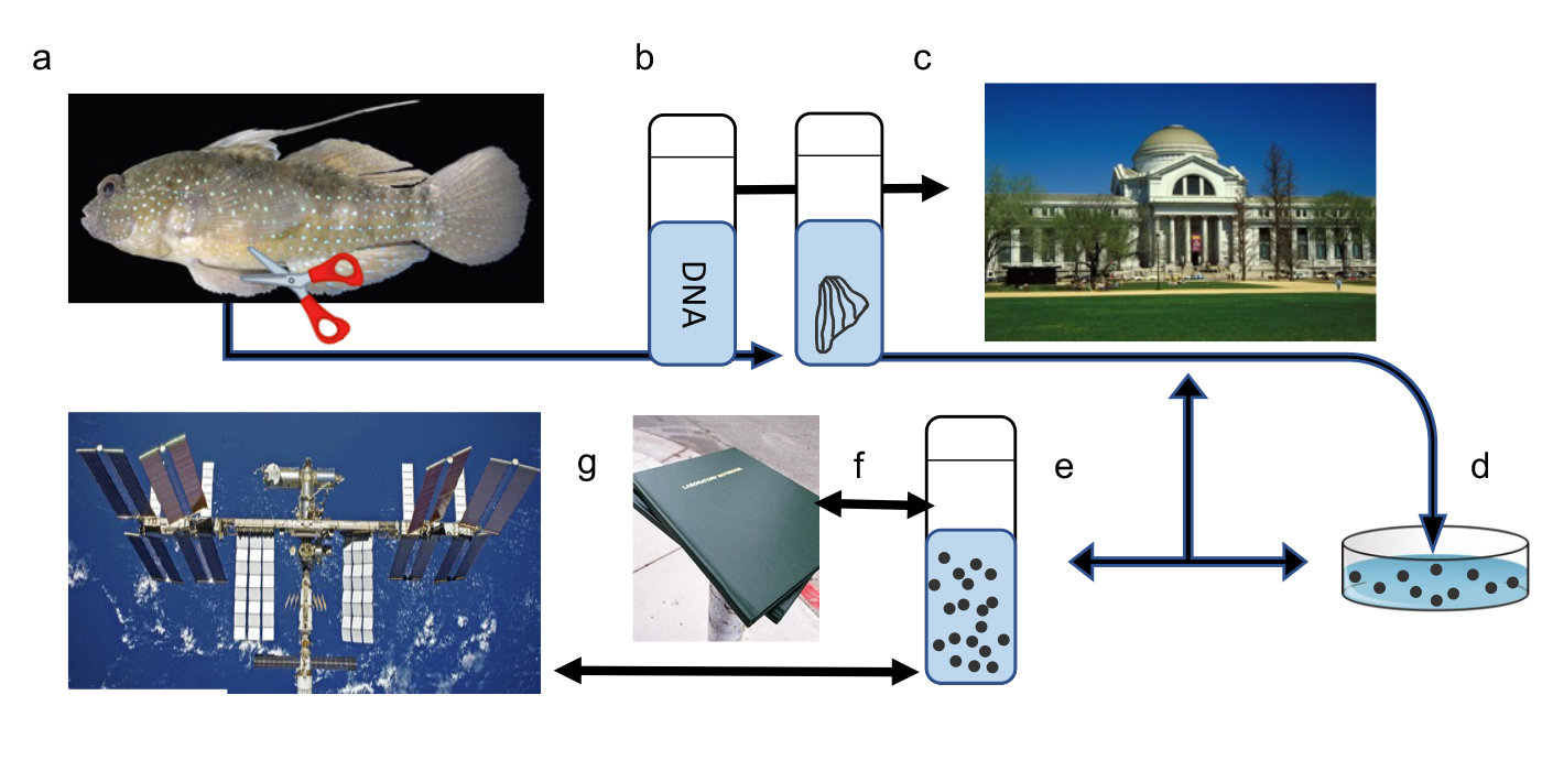 科学者らが月面にバイオサンプルを保存する計画を提案(Scientists propose plan to store bio samples on the Moon)