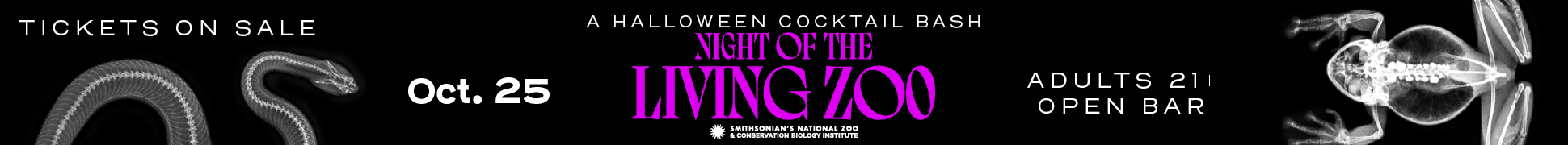 Night of the Living Zoo web banner ad