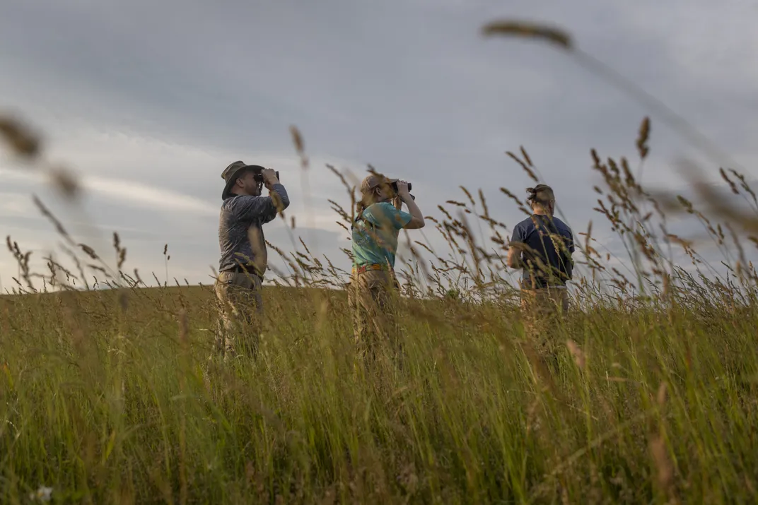 Photo of three field researchers standing in a meadow. Tall grasses partially obscure the people, who are looking through binoculars at something outside the frame.