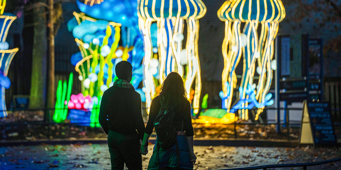 A couple holding hands while admiring jellyfish lanterns.