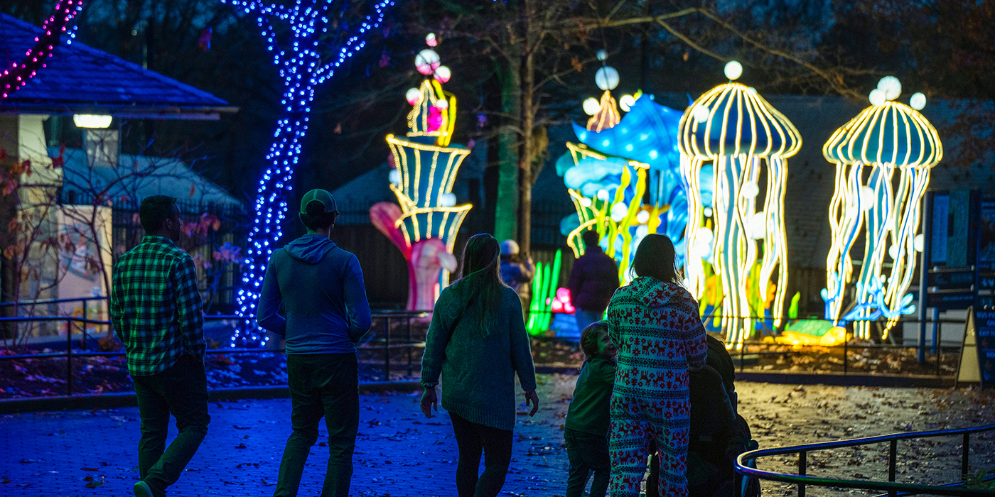 Visitors walking down a pathway with illuminated jellyfish lanterns in front of them.