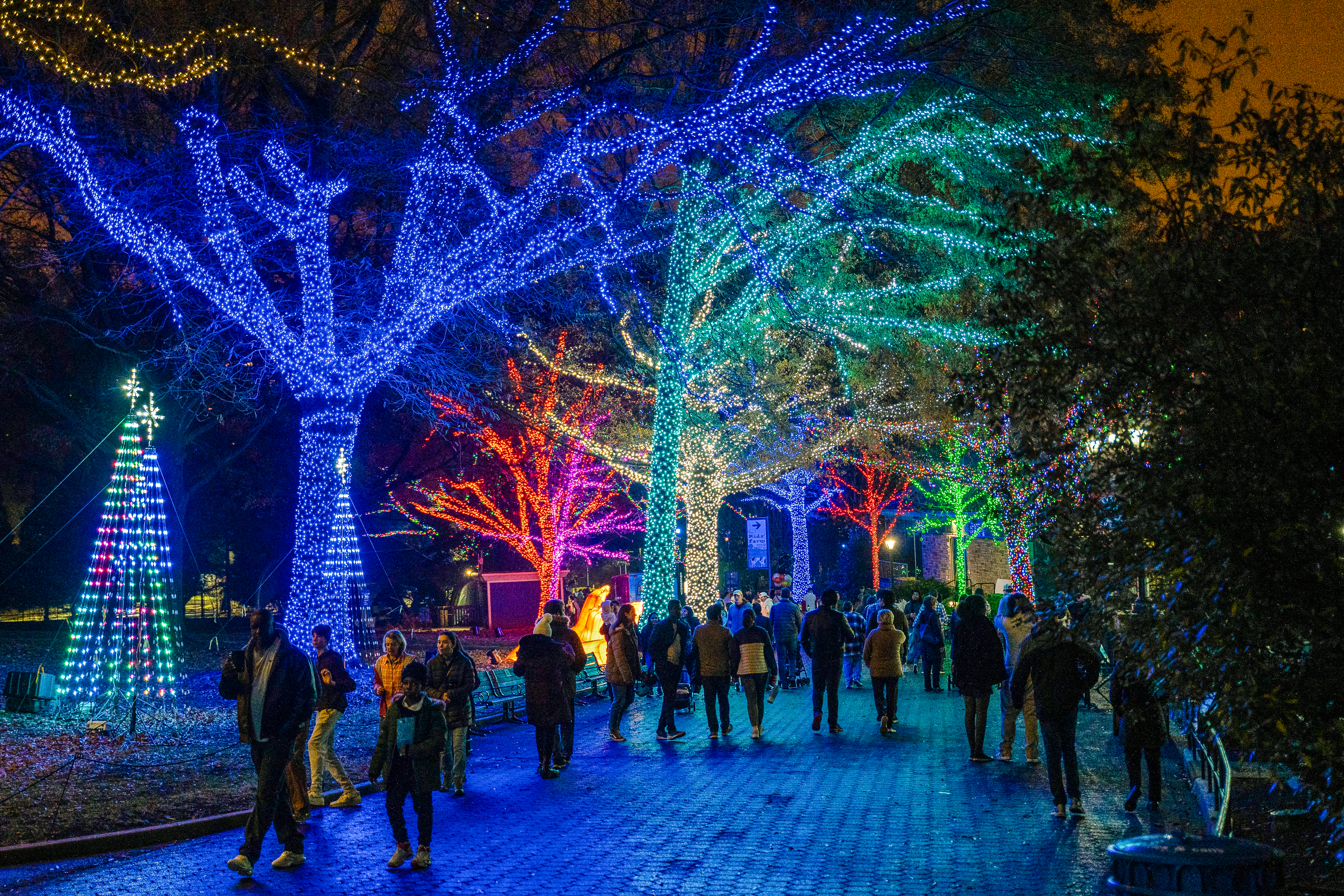 Visitors at the 2023 Zoo Lights event at the Smithsonian's National Zoo. 