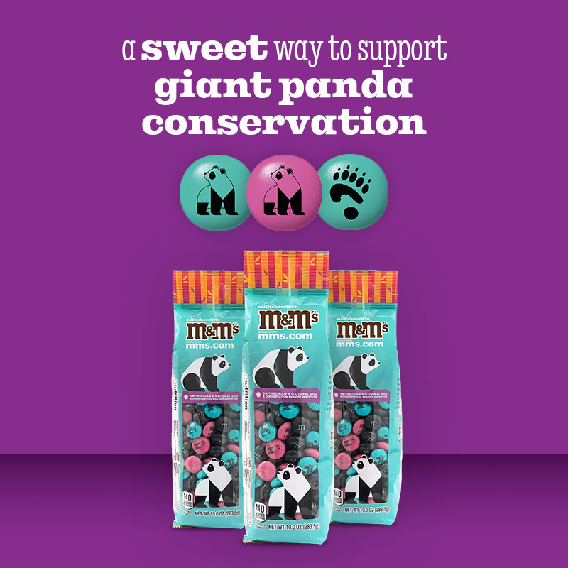 M&M'S: a sweet way to support giant panda conservation