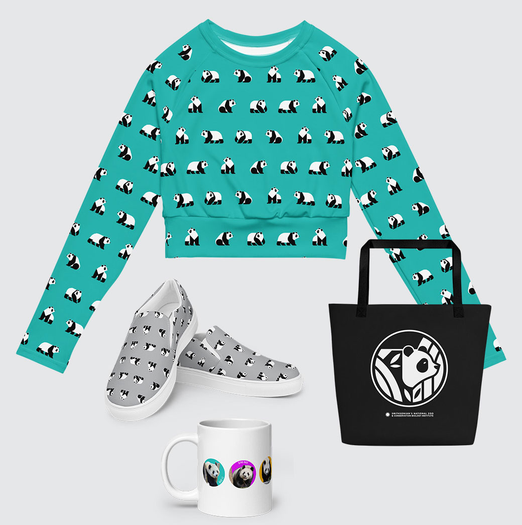 merchandise featuring pandas, including a sweatshirt, shoes, mug and bag