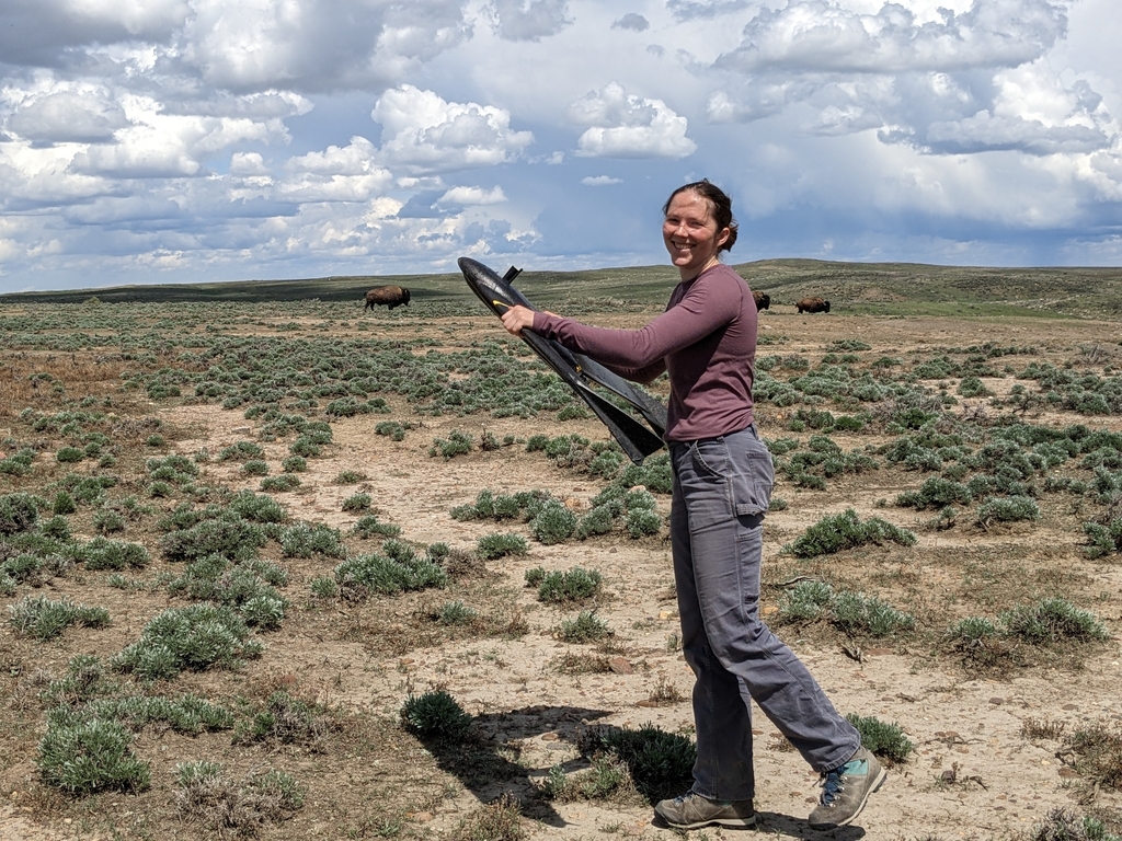 Photo of Smithsonian scientist Claire Bresnan standing on the prairie holding a drone.