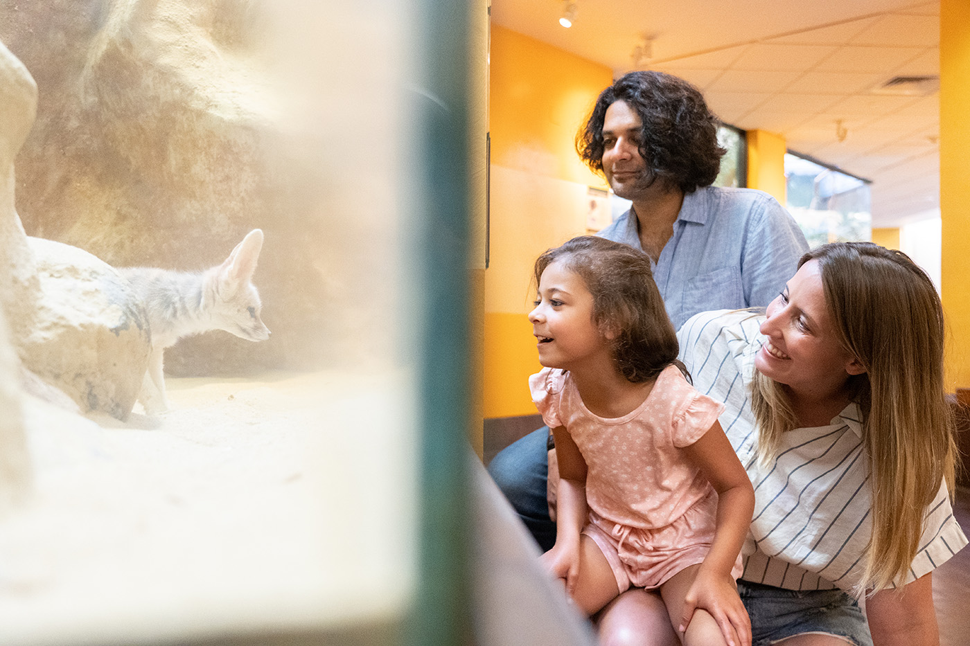 Three visitors admire a curious fennec fox at the Small Mammal House.
