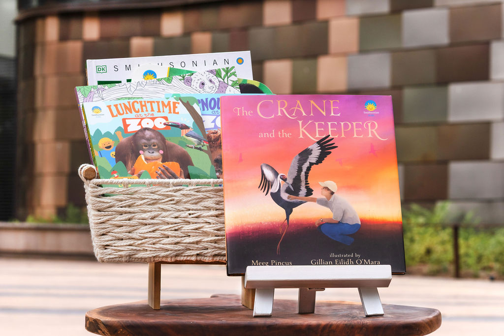 A selection of zoo-themed books laid out in front of the Bird House.