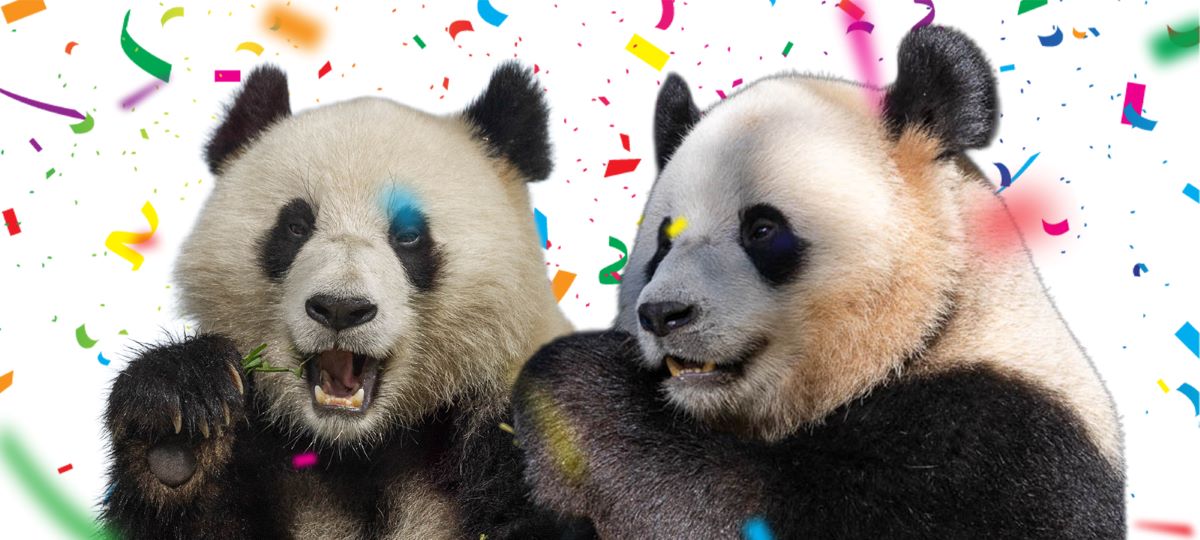 qing bao and bao li overlayed with confetti