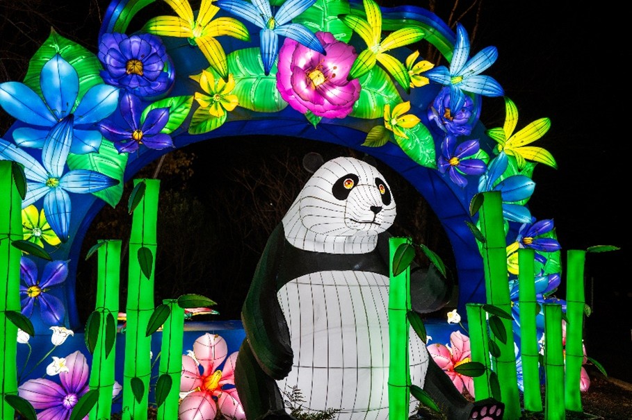 Giant panda lantern surrounded by colorful flower archway and illuminated stalks of bamboo. Credit: Roshan Patel/Smithsonian
