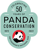 Celebrating 50 Years Of Giant Pandas | Smithsonian's National Zoo And ...