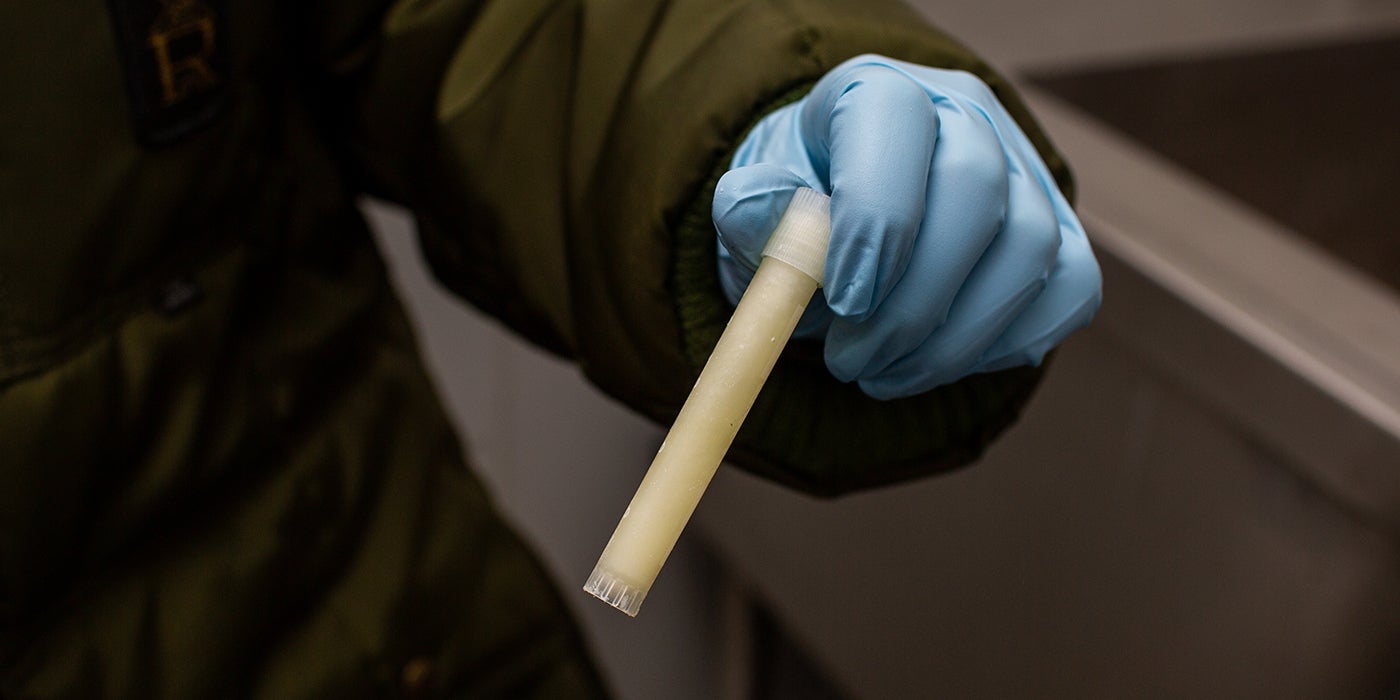 A sample of frozen milk in a small tube held by a researcher