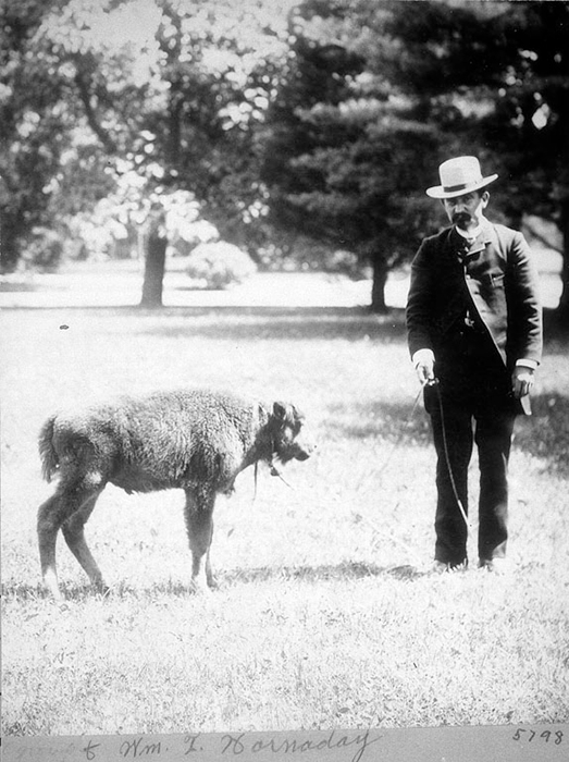 History | Smithsonian's National Zoo