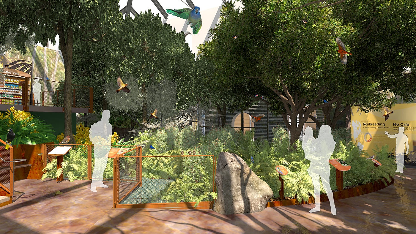 Experience Migration exhibit shade-grown coffee aviary rendering