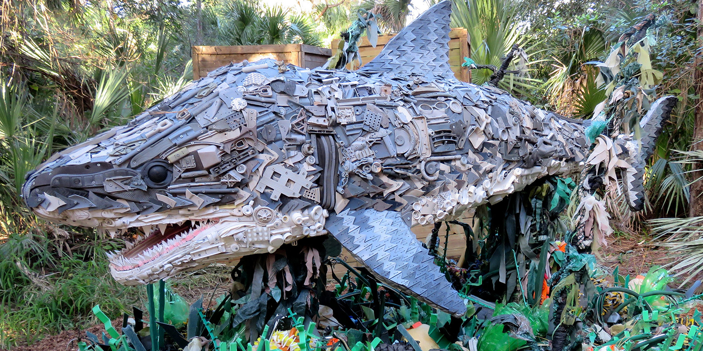 Washed Ashore | Smithsonian's National Zoo