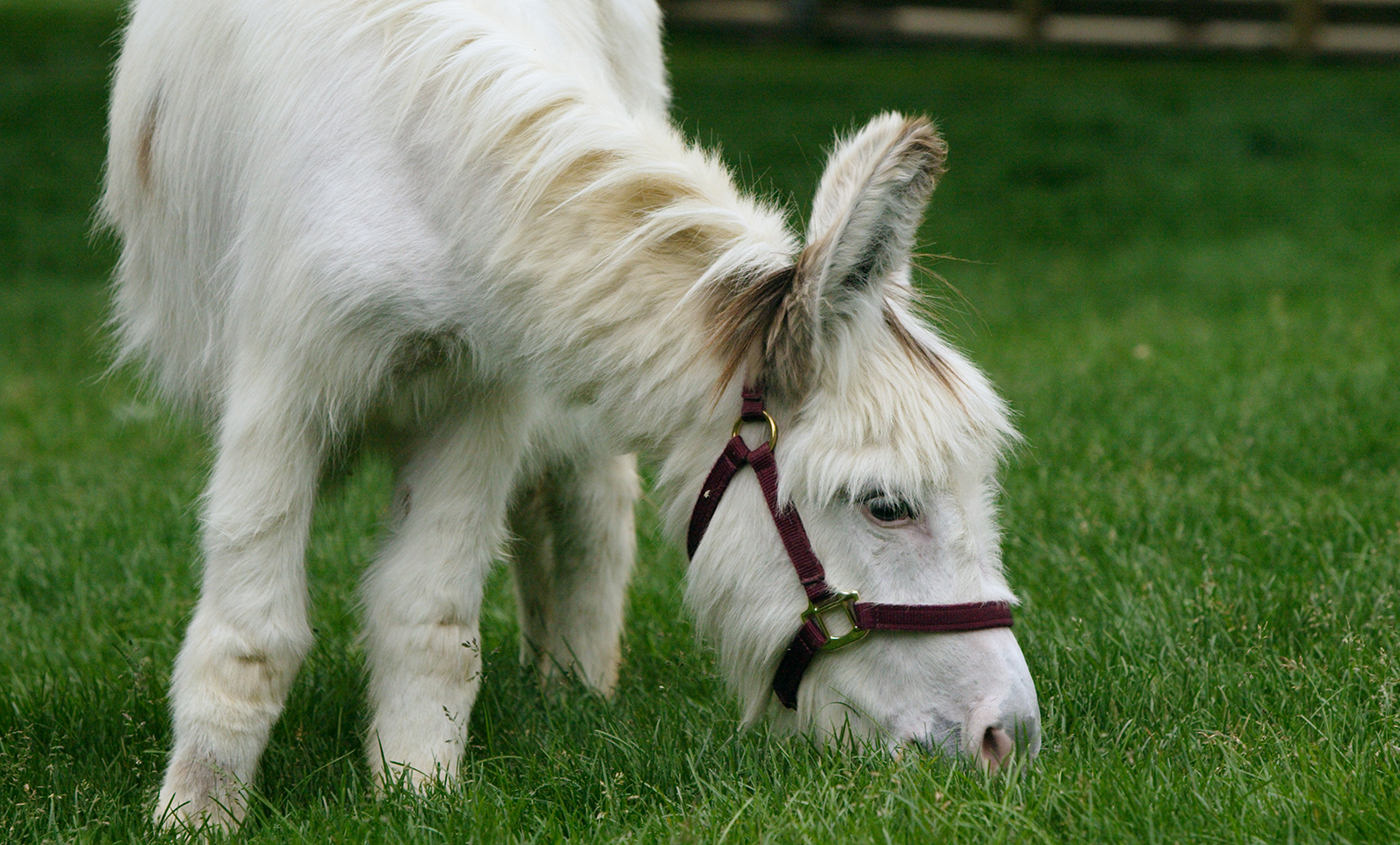 hey girl touch some grass with me, Touch Grass