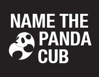 name the panda cub logo