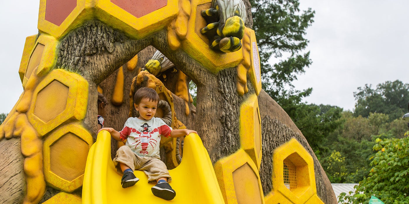 A child sits at the top of a slide sculpted to look like a bee hive overflowing with honey at the Smithsonian's National Zoo's Me and the Bee playground