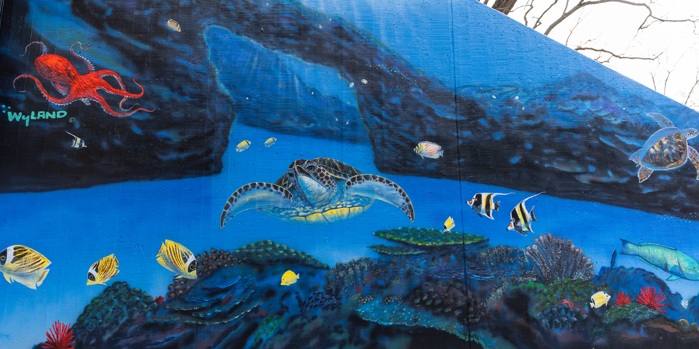 This wall mural by artist Wyland shows sea turtles, fish, an octopus, and various types of coral in an underwater setting. The marine animals are brightly colored, but the water and rocks are darker shades of blue.